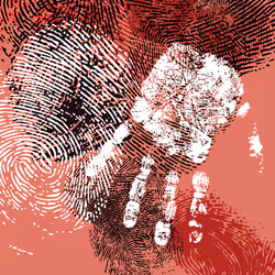 16099289534565677817009981985909100596642615095570704535402563015047217414145