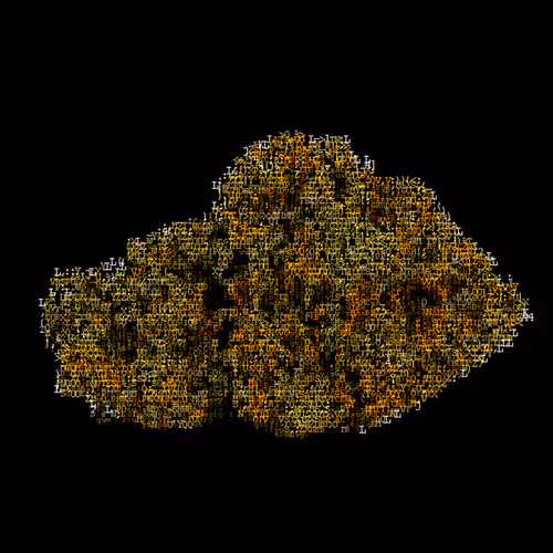 Item #73730562326191716881461757681999681561108071941178858700687942217671370604545 Media