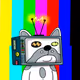 79838521276782796452999091071586138485964789285972363937491297910075758215169