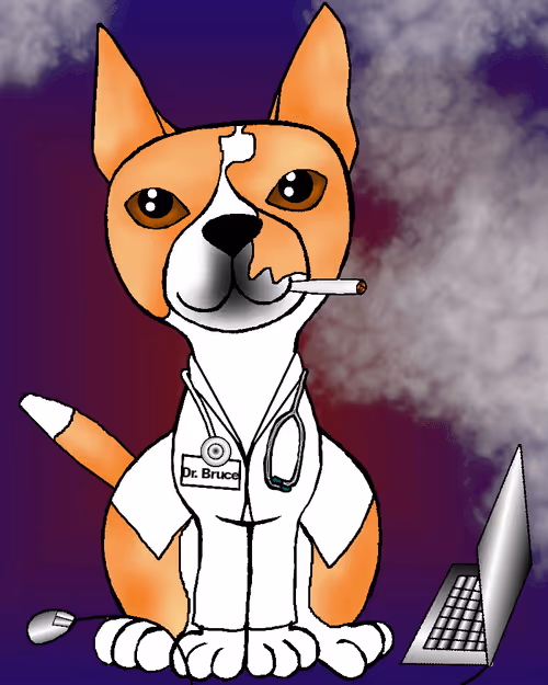 Item #43115574000057118557944420121181590544146429277052068556631778342734057701377 Media