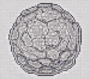 Item #74388721199083954673298778298232823886096642493620239959546428061916659187713 Media