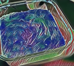 Steamy Egg #4