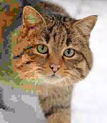 Untitled Collection #59923712