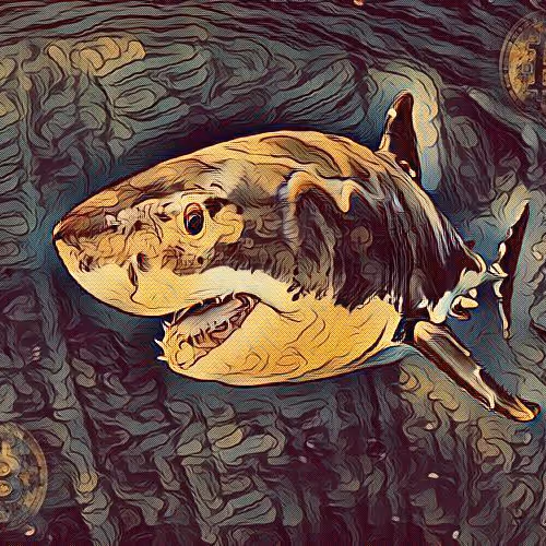 BITCOIN SHARK ATTAK 001
