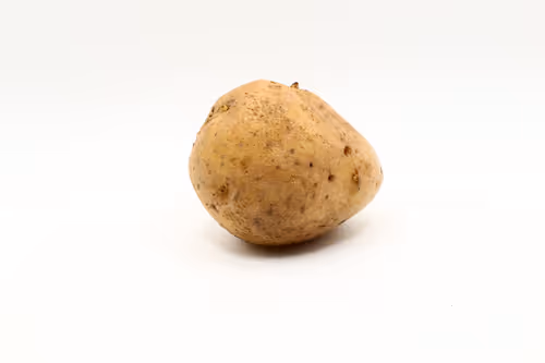 Item #97726151104522163495278545296769301934737660224123995419035737060817323950081 Media