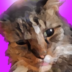Hippie Cat #3
