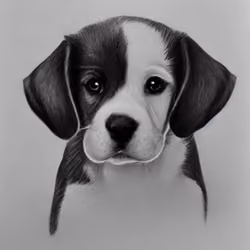 Dog 9