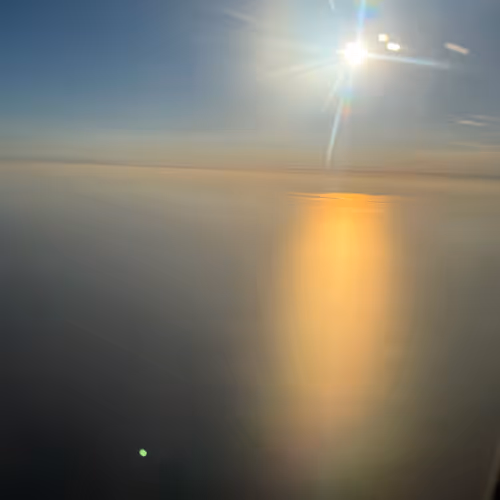 Untitled Collection #79618863