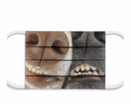 Item #10377994348723267070232788418862827414137458588345052989785880291919798468609 Media