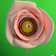 67822170361788292972673144672087868163404891366538748842269661973771915886593