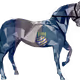 14195703436646468745199728662041842185351146069971577628603613868936017215489