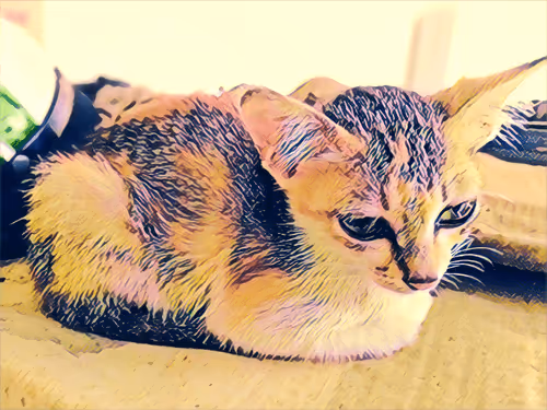 Item #74122138759525378795667626270866148487737655975912799548892275578847520358401 Media