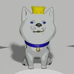 Shiba #5970
