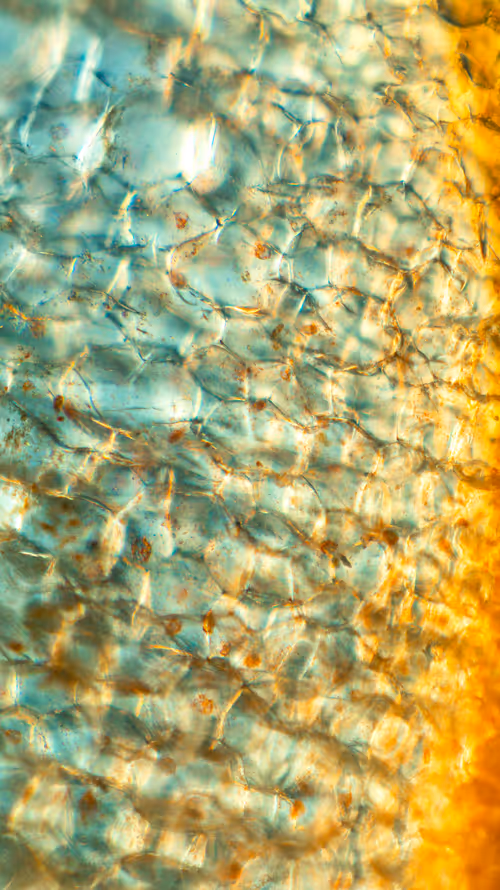 Item #11248459499450087743120670419350516870464666210533379678021336316893449945089 Media