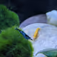109749463963535562366593256464229550744381196161828208012819032296082206883841