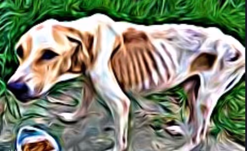 Item #23143313246472061328071561115701105421589606567298838424350448109355150606337 Media