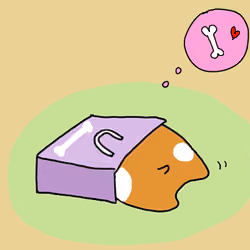おやつ食べたい柴犬くん
