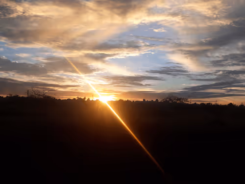 Untitled Collection #275920394