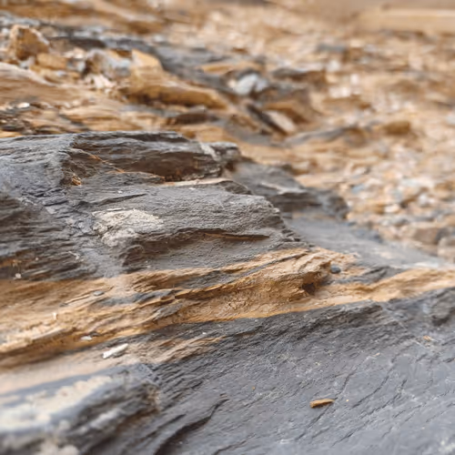 Item #32708508987210996203505439108186848896243903998336501445034175495832766251009 Media