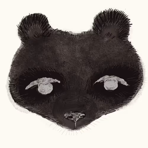 Item #85958577837238121956904946146282691386583578196809181446220191430511922511873 Media