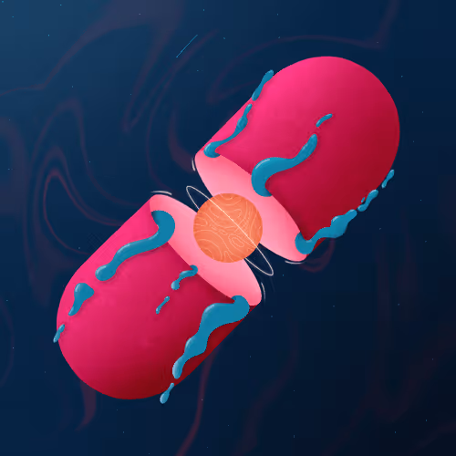 Item #50204315961408534642372543744370546985988876223601318910297720262051456090212 Media