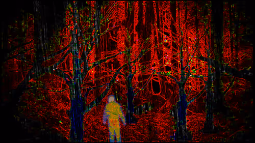 Item #9465225036097986852809308414241989554970344814191743666457654788303399944193 Media