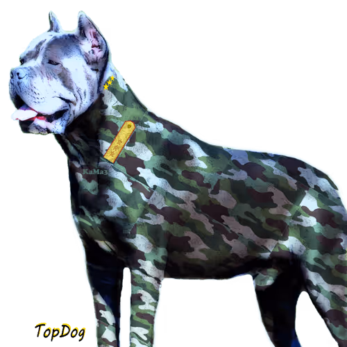 Item #36391424052732399087227214687131846955298181030742443093081293134071817306117 Media