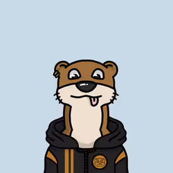 47657852543297133323080400653276055706938805025788160958186471413481289547777