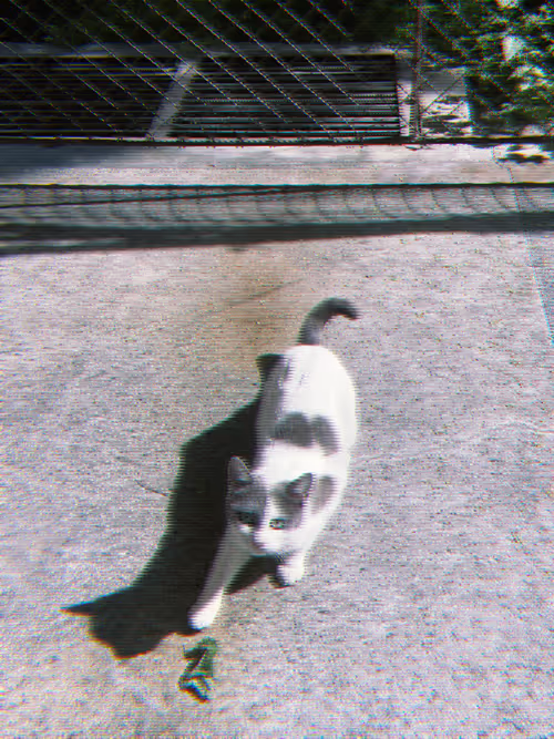 Item #102650025238985064889532626323507420633017859616961165632132730006779780399105 Media