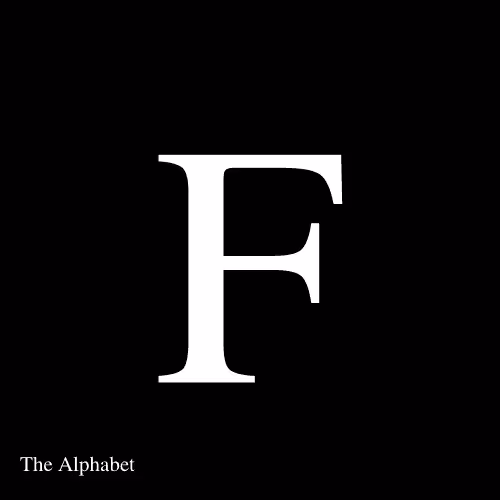 Item #15667918565991512040027370799027687282016869594247132407079641276091079852042 Media