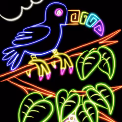 Neon Toucan - 7 Neon minutes
