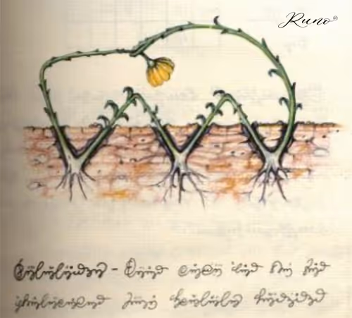 Item #82027568132874209204905566475371830288322008056794566303556806068082286002181 Media