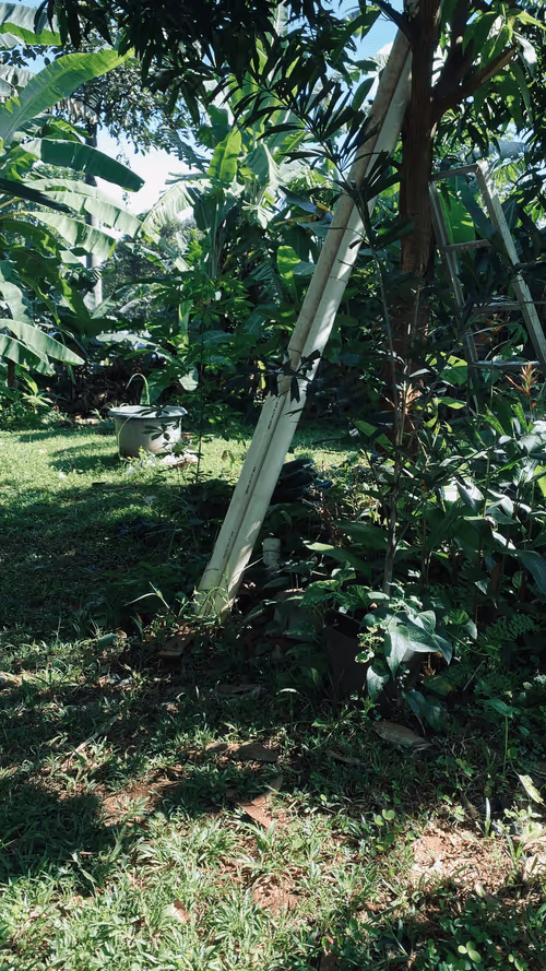 Item #67351599835119222926472791054605114312857726710672675867915900284199879311361 Media