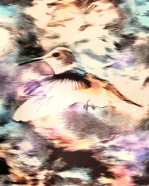 Item #92556344170705477543409867673028446126071852437513954378009622027083676909569 Media