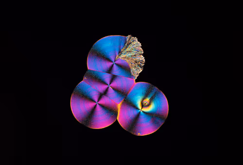 Item #10963747158726230323476698717181339106024031103904100561308612019378632785921 Media