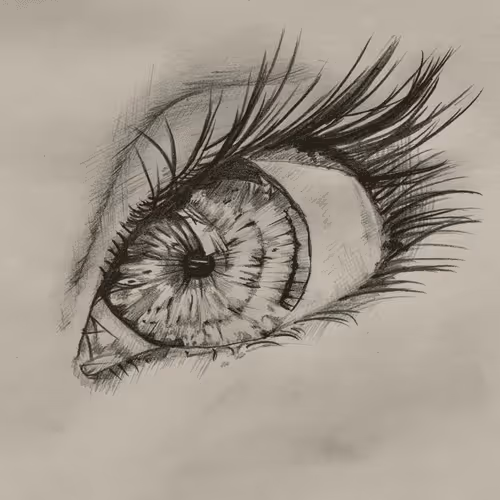 Untitled Collection #204958448