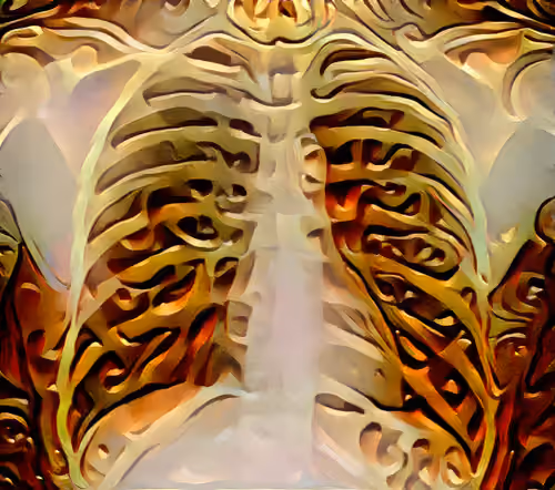 XR Chest Limited Study #11