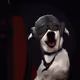 26669560696172333651893837037572868985015302531409861405365115258699723571201