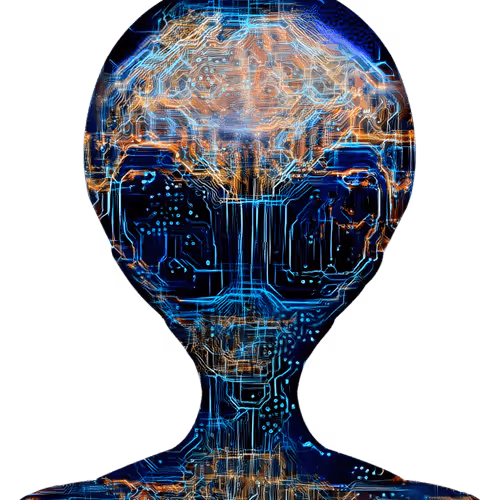 Item #78659460725135531583023670119258347490912039647015248883718852146037193179137 Media