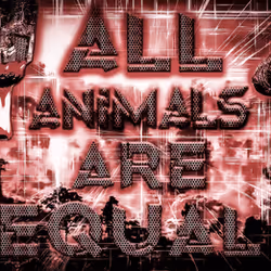 48790520787155310426102062731270564561928034817995506544027698488676232205192