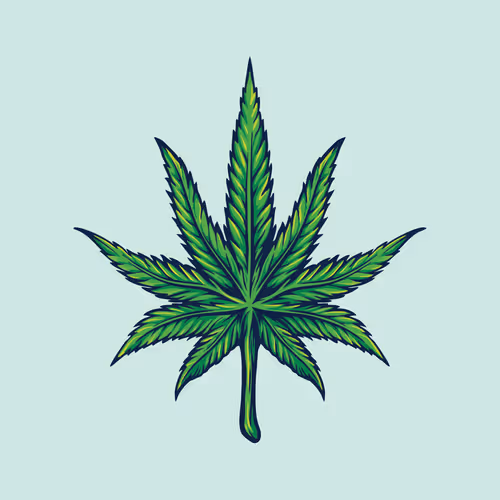 Crypto Nugzz