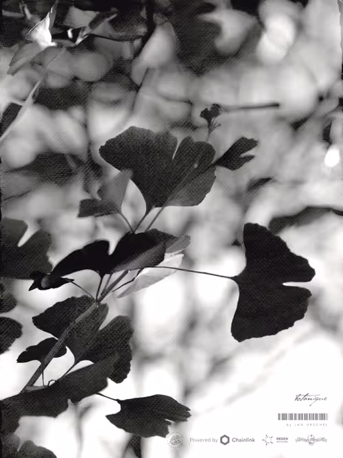 Item #67862288771501985065207433759225169411494342285282539462895293441937680367617 Media