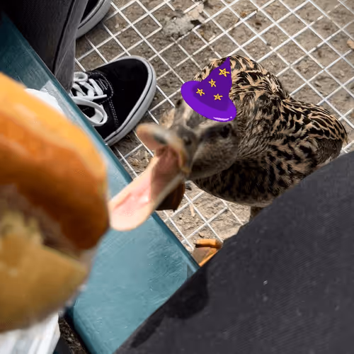 Item #90600272391332264031342606910451339037246268099451678138782692200812868796417 Media