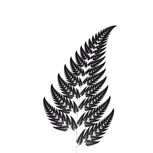 Item #42981993427632901062681484662463018324529581320245857528912810197702255050753 Media