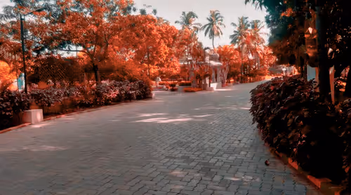 Item #66869618967602468746282682134224071188176977612925683750595185226502941704193 Media