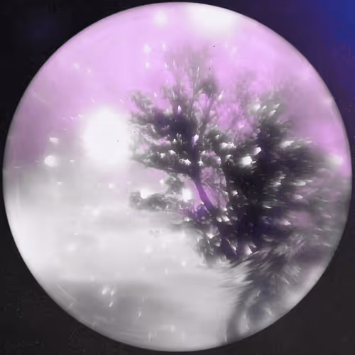 Item #57828890116558220899082499141599508700345016303804462315753535452837379571713 Media