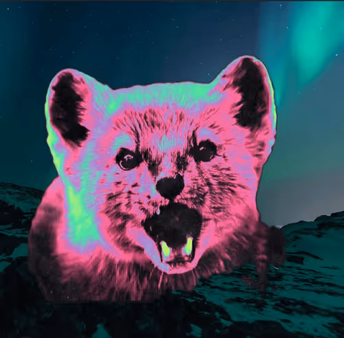 Item #64849469388568567391882735248017375202922545580058110511068989703149886373898 Media