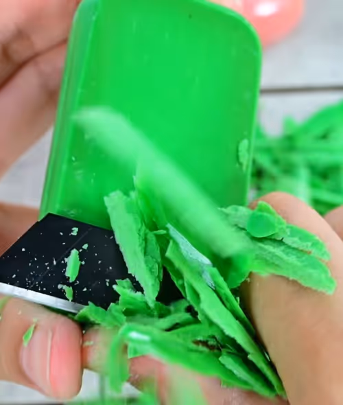 Item #21164554607344780334427083947522218688907802837878083135727033567682404286465 Media