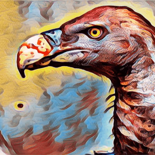 Item #5268166588450870648624449421433370993939742768172324454239271360321311211521 Media