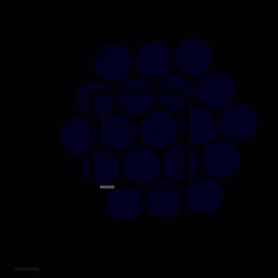 Color+ 0•0•32